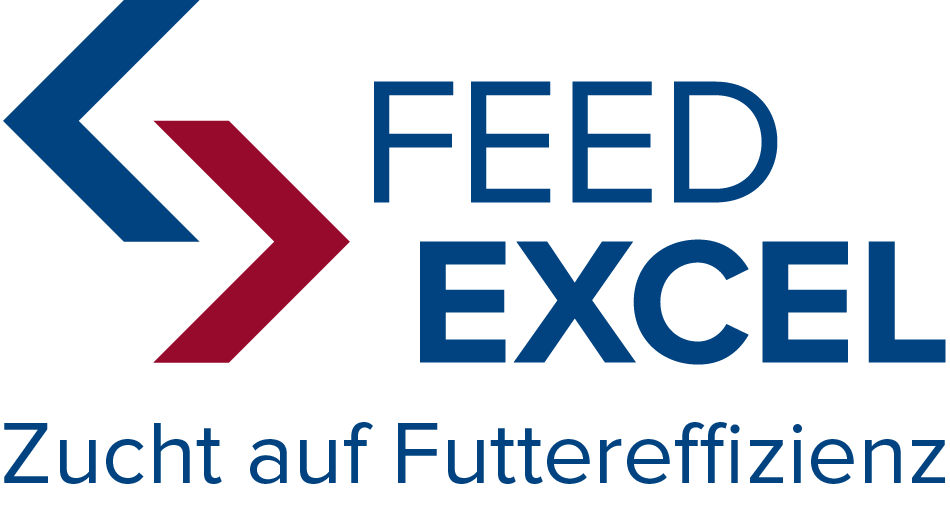Feed Excel