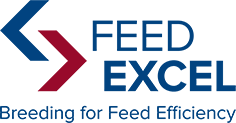 FeedExcel - Proven Path to Profitability