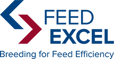 062-23-Logo-FeedExcel_ENG_fc.png