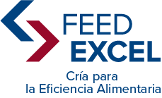FeedExcel - Proven path to profitability
