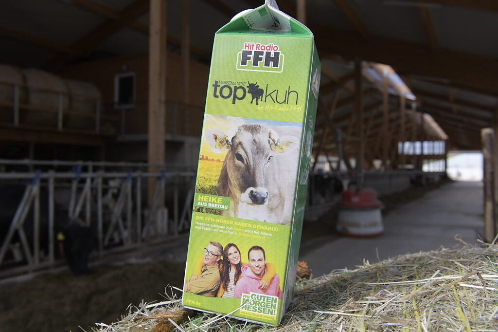 Sehr stolz sind die Asbrands auf die Kuh Heike, die vom Radiosender FFH zur schönsten Kuh Hessens gekürt wurde.