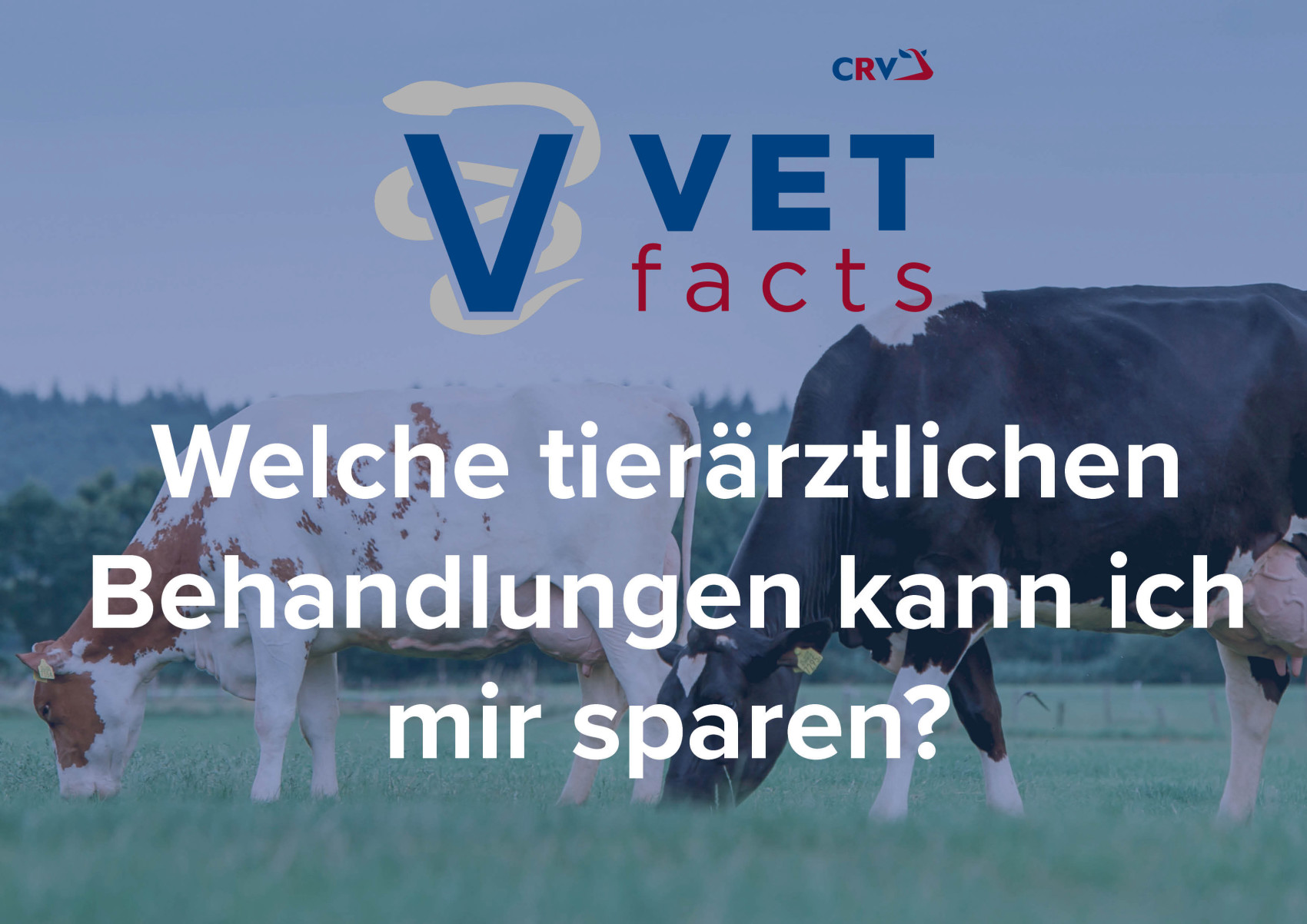 Vet facts - tierärztliche Behandlungen