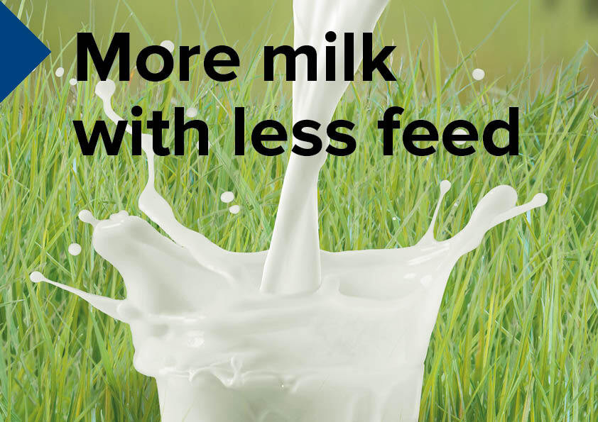 More milk with less feed - feed efficiency