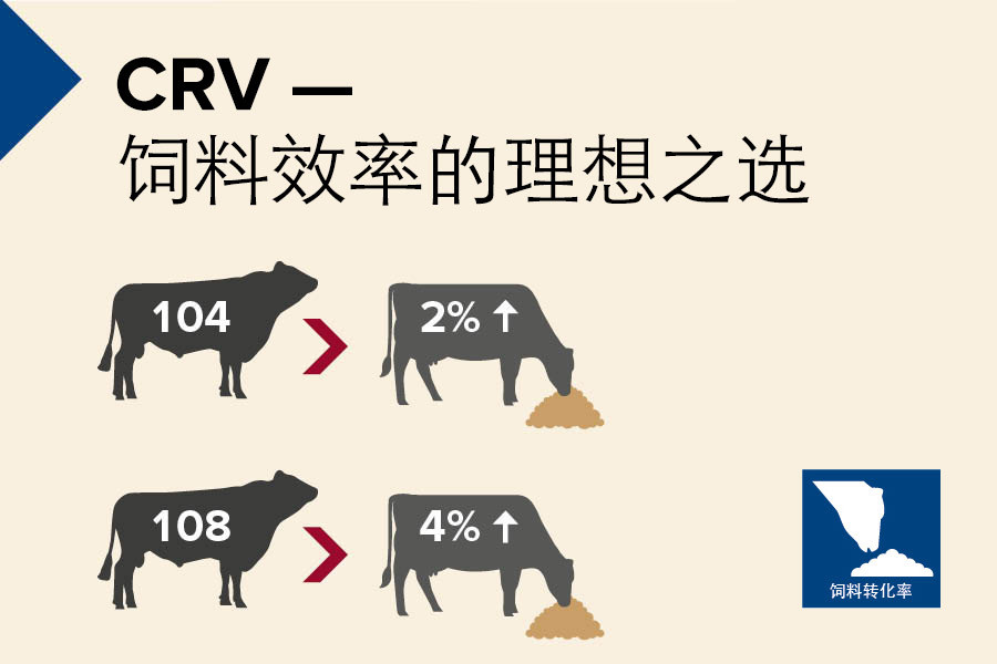 CRV, your choice for feed efficiency