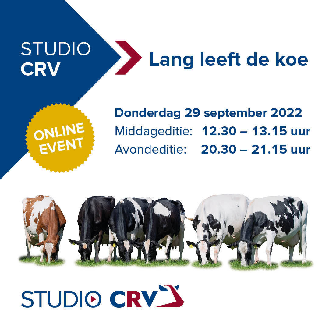 Studio CRV: Lang leeft de koe