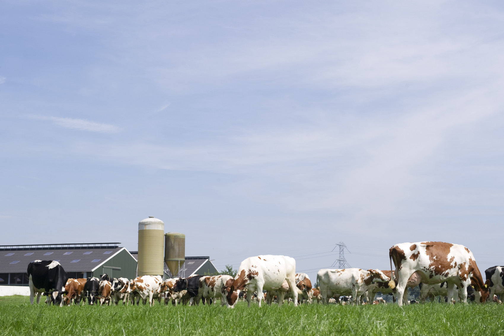 Heeft u de duurzaamste veestapel van Vlaanderen 2022/2023?