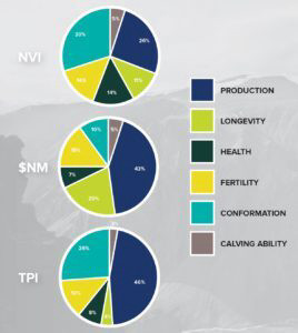 More about NVI, $NM and TPI