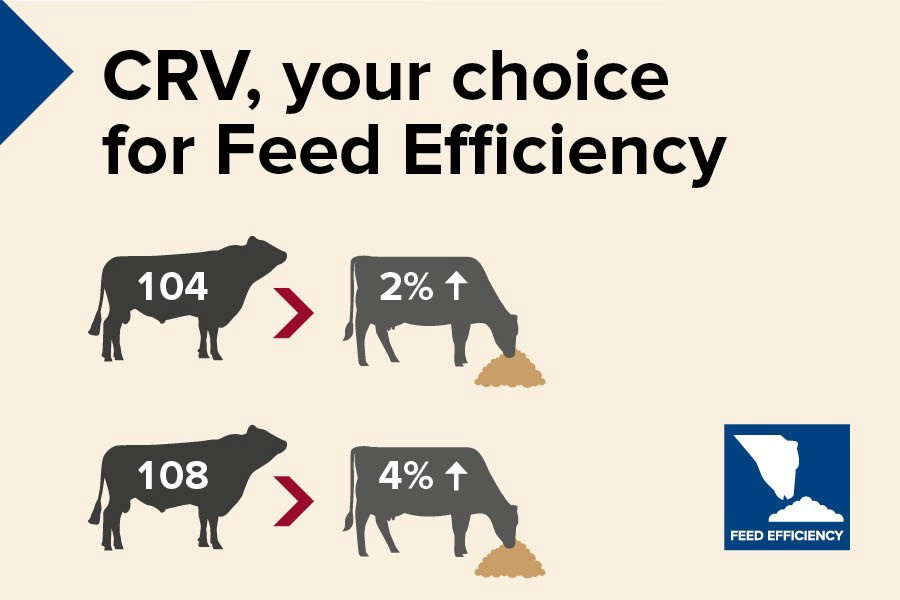 CRV, your choice for feed efficiency