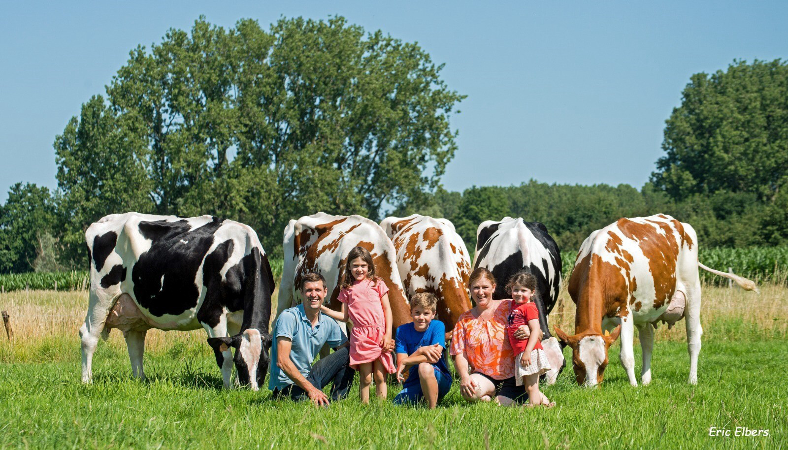 Familie Lemeire bij hun koeien in de wei