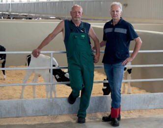 Two brothers standing in a barn in front of a calf
