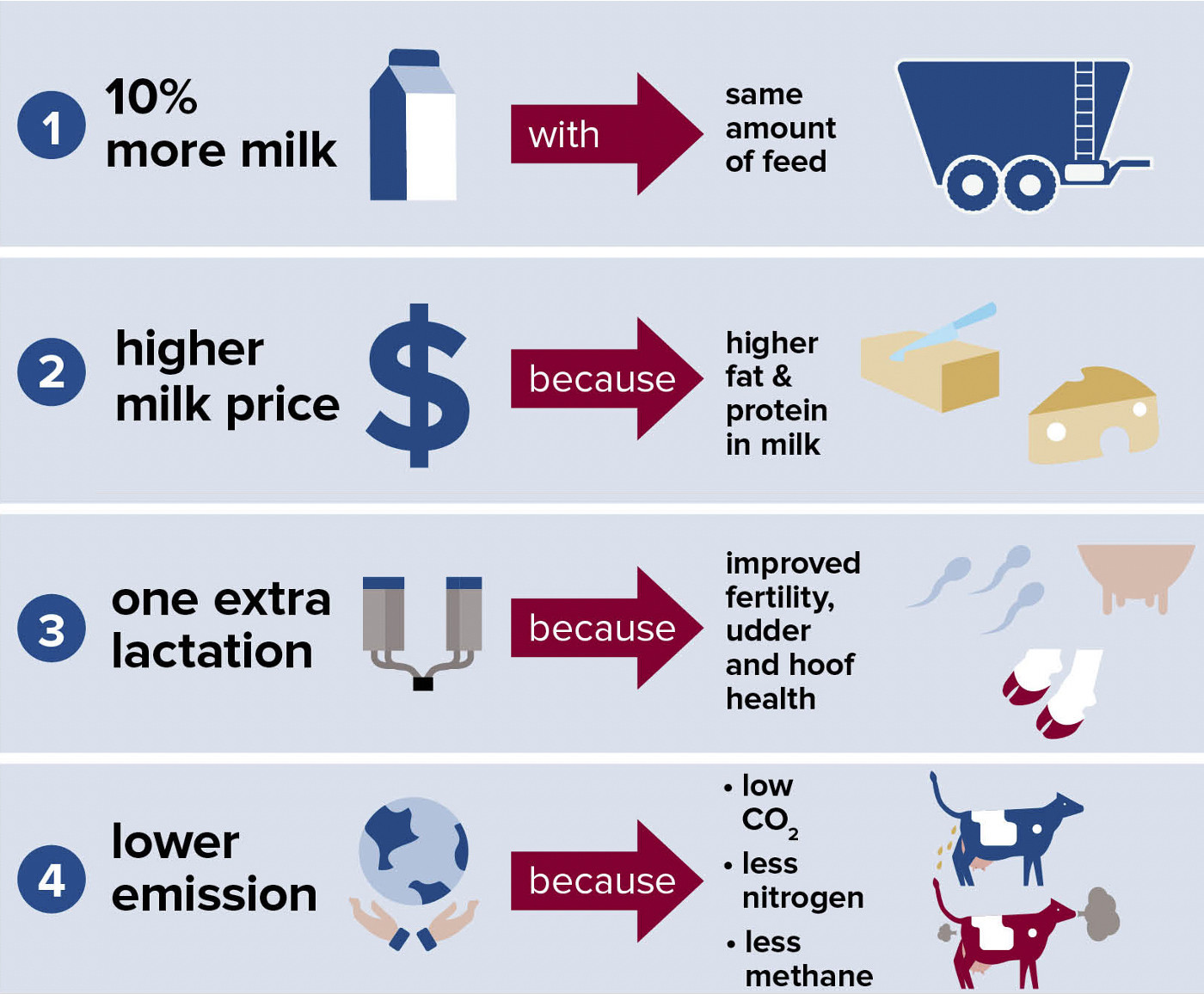 Infographic health & Efficiency