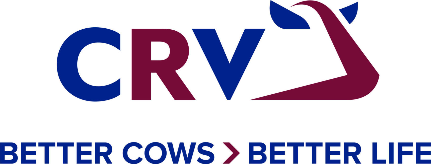 CRV Logo neu