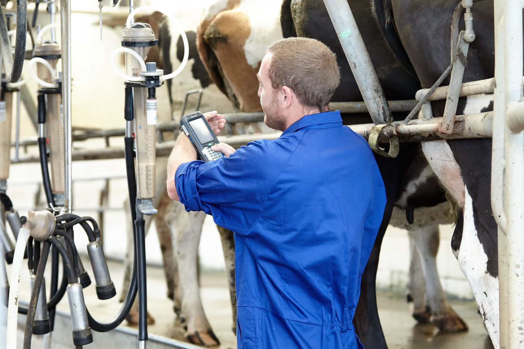 While the number of cows being herd tested jumped by 1.2 per cent last season¹, many farmers may still not realise its value. CRV Herd Testing Manager Mark Redgate wants to change that.