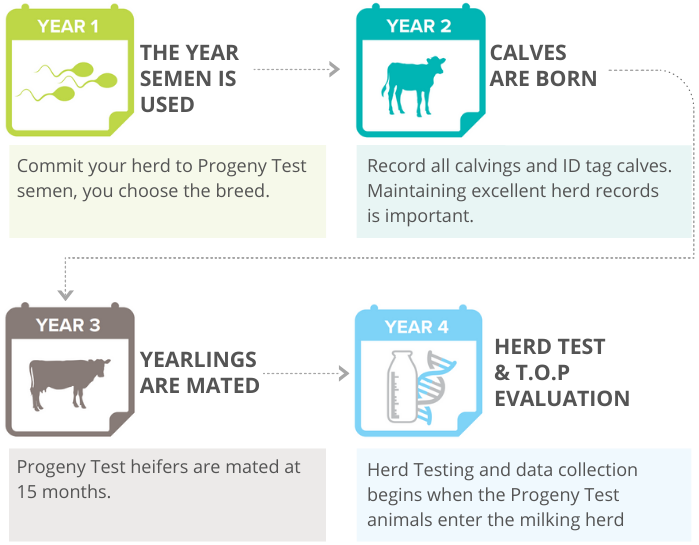 How Progeny Test works