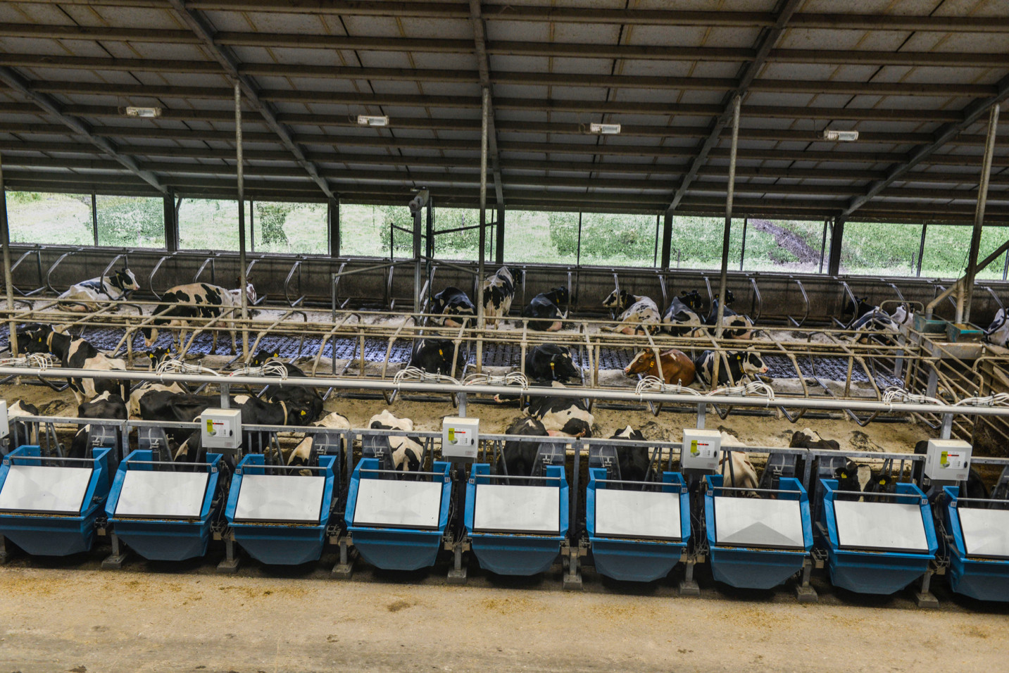 Feed efficiency reveals huge differences