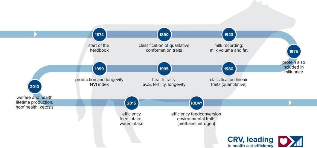 CRV over the years infographic