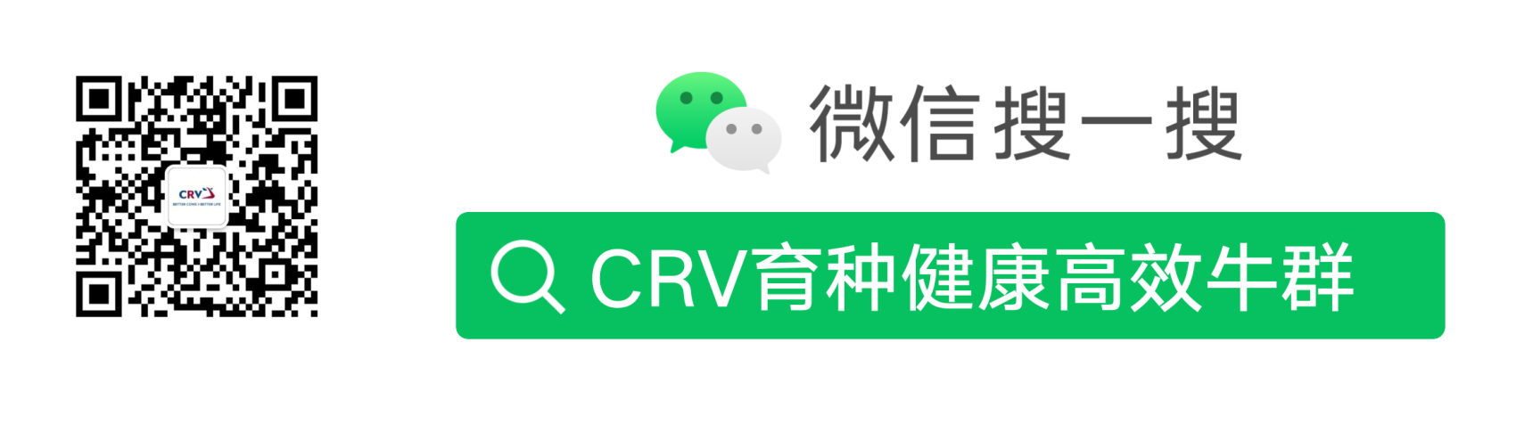 扫描右侧二维码，订阅我们的官方微信账号---CRV育种健康高效牛群。