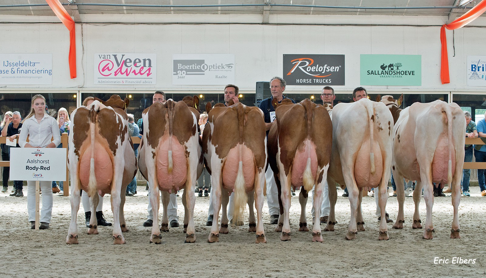 Dochtergroep Aalshorst Rody-Red op de Nationale Roodbontshow