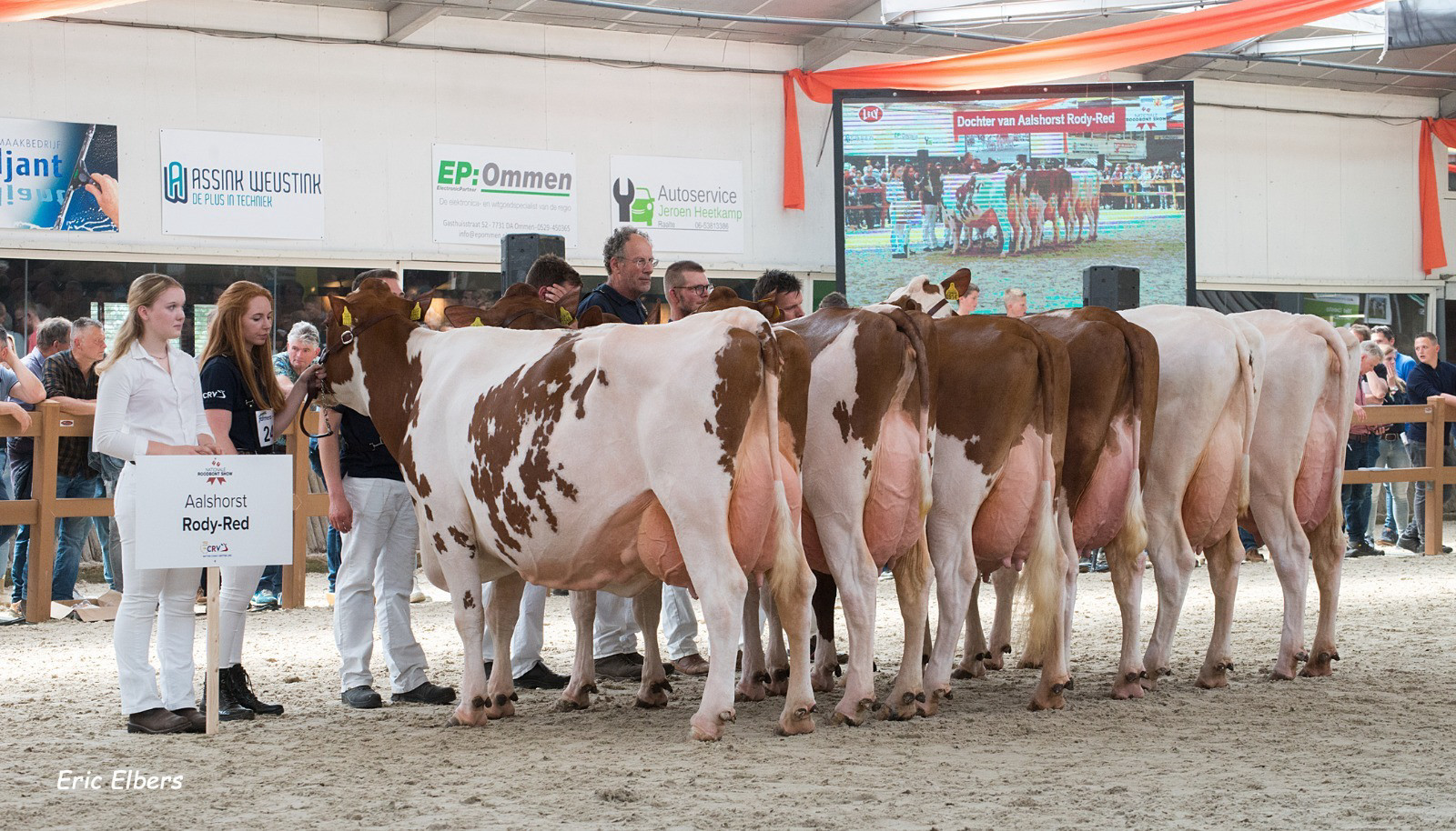 Dochtergroep Aalshorst Rody-Red