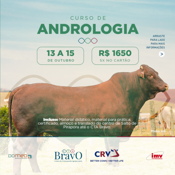 andrologia