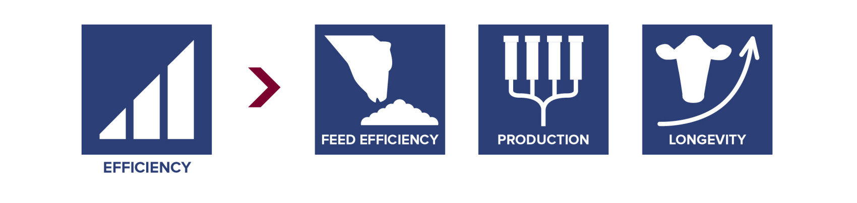 Besides Production and Lifetime, Feed Efficiency is 1 of the 3 important building blocks of CRV Efficiency.  Because an efficient cow is productive, with a high lifetime production, and efficiently converts feed into milk, fat and protein.