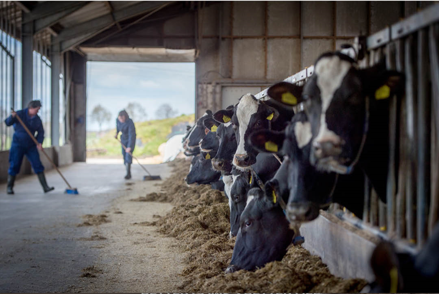 Hoe kan ik als veehouder de CO2-voetafdruk van de productie van melk verminderen?