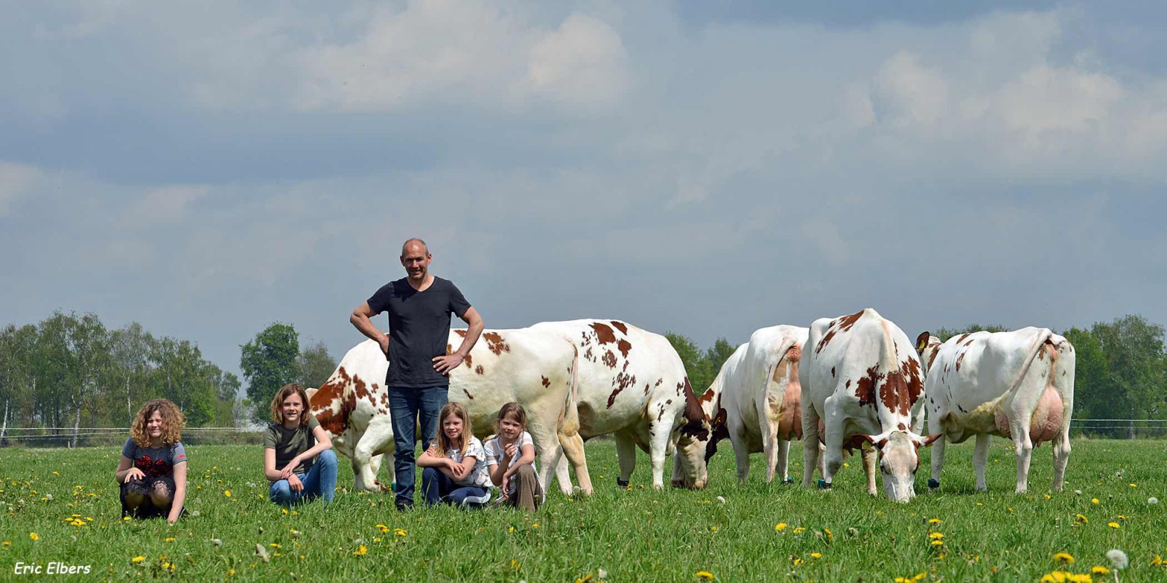 Veehouder Frank van der Heijden met zijn kinderen tussen zijn mrij-koeien.