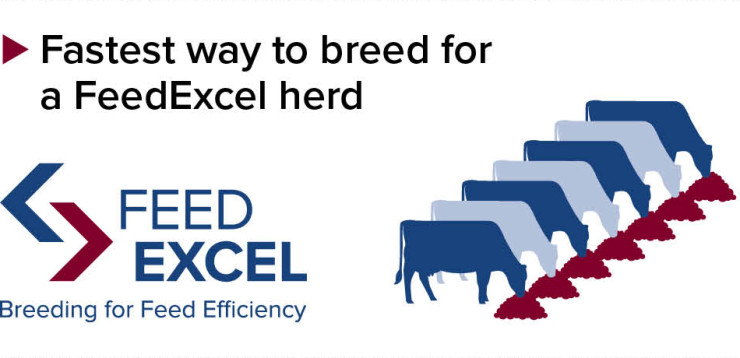 SireMatch 2 - Breeding for a FeedExcel herd