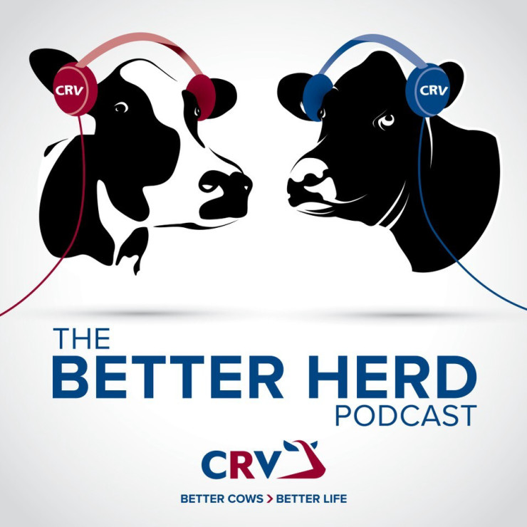 CRV's Better Herd Podcast: Sexed Semen
