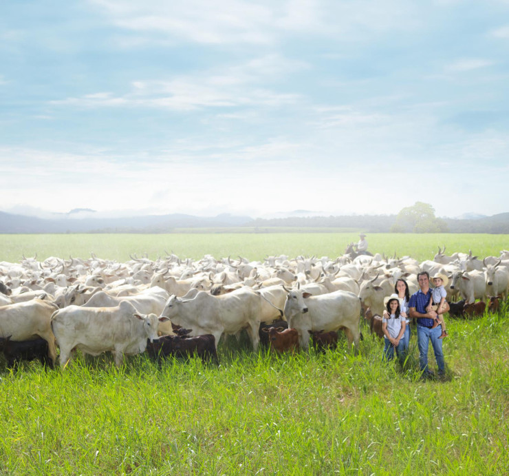 CRV为全球各地奶农提供服务