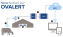 Ovalert Nedap