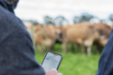 CRV and Fonterra partner to make herd data sharing easier for farmers