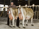 Julian Cowen, Cowen Dairy, Nehalem, OR